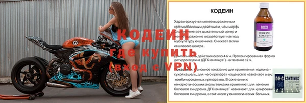 прущая мука Вяземский