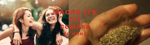 прущая мука Вяземский