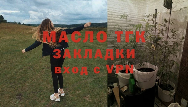 прущая мука Вяземский