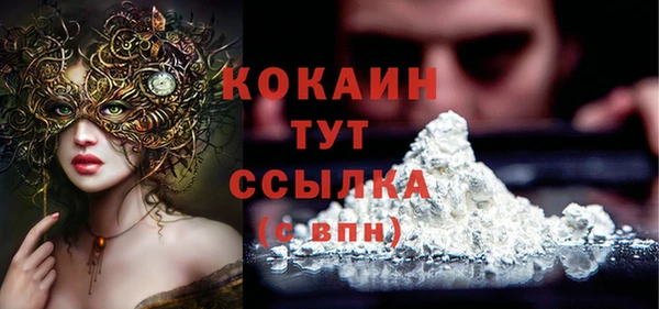 прущая мука Вяземский