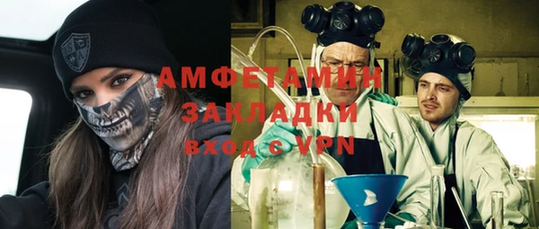 прущая мука Вяземский