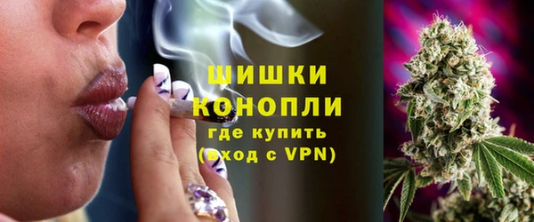 прущая мука Вяземский