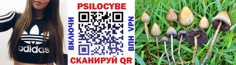 Купить  Волжский  Псилоцибиновые грибы MAGIC MUSHROOMS 